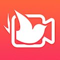 Swal Video