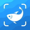 Picture Fish