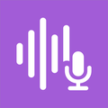 Voice Notes