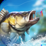 Fishing Travel